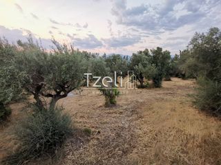 Οικόπεδο 515 τ.μ. για πώληση, Αχαΐα, Μεσσατίδα-thumb-10