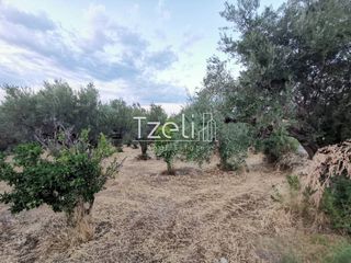 Οικόπεδο 515 τ.μ. για πώληση, Αχαΐα, Μεσσατίδα-thumb-26