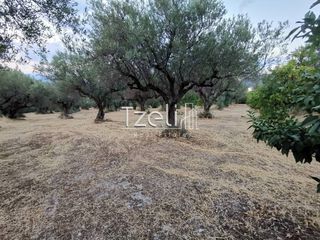 Οικόπεδο 515 τ.μ. για πώληση, Αχαΐα, Μεσσατίδα-thumb-11