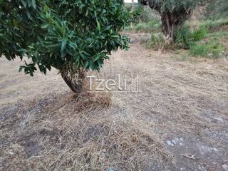 Οικόπεδο 515 τ.μ. για πώληση, Αχαΐα, Μεσσατίδα-thumb-19