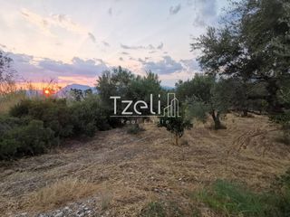 Οικόπεδο 515 τ.μ. για πώληση, Αχαΐα, Μεσσατίδα-thumb-17