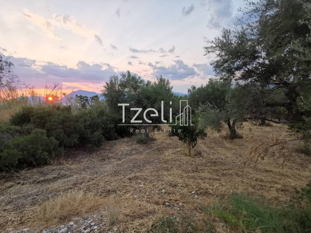 Οικόπεδο 543 τ.μ. για πώληση, Αχαΐα, Μεσσατίδα