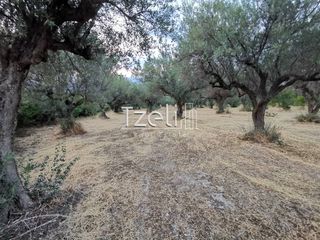 Οικόπεδο 543 τ.μ. για πώληση, Αχαΐα, Μεσσατίδα-thumb-17