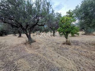 Οικόπεδο 543 τ.μ. για πώληση, Αχαΐα, Μεσσατίδα-thumb-15