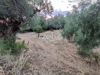 Οικόπεδο 543 τ.μ. για πώληση, Αχαΐα, Μεσσατίδα-thumb-1