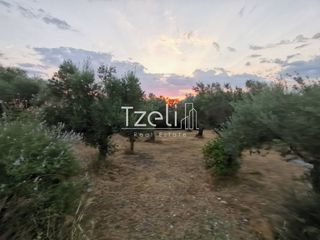 Οικόπεδο 543 τ.μ. για πώληση, Αχαΐα, Μεσσατίδα-thumb-13