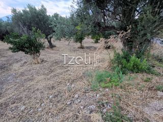 Οικόπεδο 543 τ.μ. για πώληση, Αχαΐα, Μεσσατίδα-thumb-4