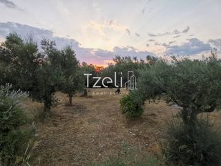 Οικόπεδο 543 τ.μ. για πώληση, Αχαΐα, Μεσσατίδα-thumb-16