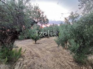 Οικόπεδο 543 τ.μ. για πώληση, Αχαΐα, Μεσσατίδα-thumb-21
