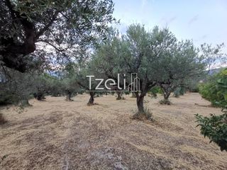 Οικόπεδο 543 τ.μ. για πώληση, Αχαΐα, Μεσσατίδα-thumb-6