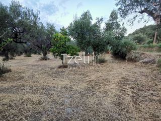 Οικόπεδο 543 τ.μ. για πώληση, Αχαΐα, Μεσσατίδα-thumb-25