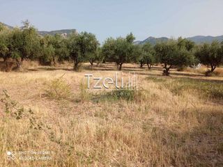 Οικόπεδο 3.462 τ.μ. για πώληση, Αχαΐα, Παραλία-thumb-30