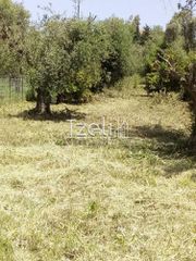Οικόπεδο 3.462 τ.μ. για πώληση, Αχαΐα, Παραλία-thumb-26