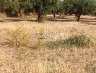 Οικόπεδο 3.462 τ.μ. για πώληση, Αχαΐα, Παραλία-thumb-32