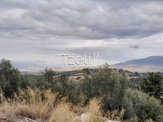 Οικόπεδο 3.462 τ.μ. για πώληση, Αχαΐα, Παραλία-thumb-20