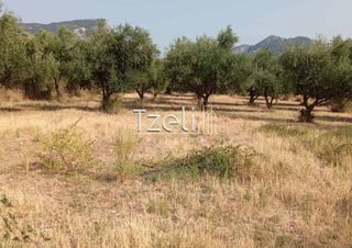 Οικόπεδο 3.462 τ.μ. για πώληση, Αχαΐα, Παραλία-thumb-6