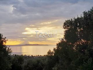 Οικόπεδο 3.462 τ.μ. για πώληση