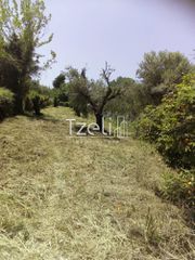 Οικόπεδο 3.462 τ.μ. για πώληση, Αχαΐα, Παραλία-thumb-25