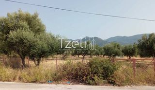 Οικόπεδο 3.462 τ.μ. για πώληση, Αχαΐα, Παραλία-thumb-18
