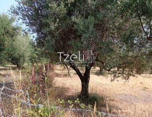 Οικόπεδο 3.462 τ.μ. για πώληση, Αχαΐα, Παραλία-thumb-21