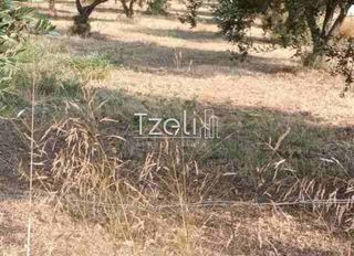 Οικόπεδο 3.462 τ.μ. για πώληση, Αχαΐα, Παραλία-thumb-19