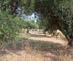 Οικόπεδο 3.462 τ.μ. για πώληση, Αχαΐα, Παραλία-thumb-13