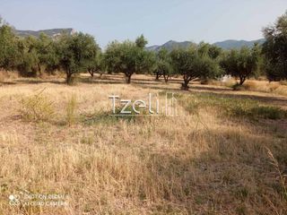 Οικόπεδο 3.462 τ.μ. για πώληση, Αχαΐα, Παραλία-thumb-12