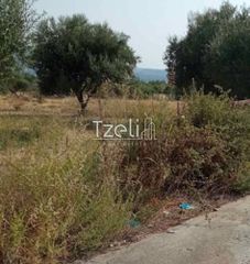 Οικόπεδο 3.462 τ.μ. για πώληση, Αχαΐα, Παραλία-thumb-23
