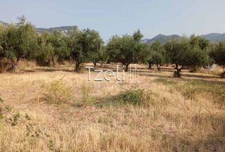 Οικόπεδο 3.462 τ.μ. για πώληση, Αχαΐα, Παραλία-thumb-14