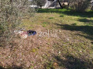 Οικόπεδο 3.462 τ.μ. για πώληση, Αχαΐα, Παραλία-thumb-16