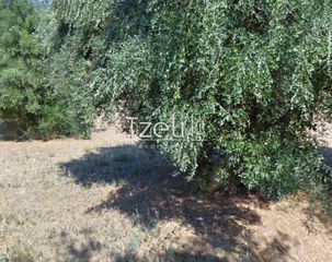 Οικόπεδο 459 τ.μ. για πώληση, Αχαΐα, Ρίο-thumb-29