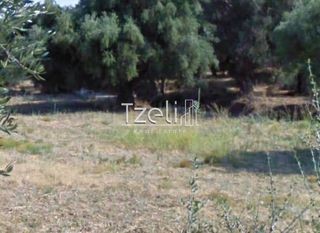 Οικόπεδο 459 τ.μ. για πώληση, Αχαΐα, Ρίο-thumb-14