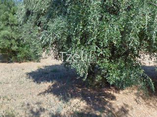 Οικόπεδο 459 τ.μ. για πώληση, Αχαΐα, Ρίο-thumb-15
