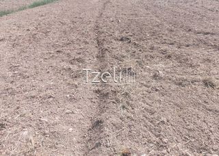 Οικόπεδο 7.650 τ.μ. για πώληση, Αχαΐα, Πάτρα-thumb-19