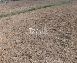 Οικόπεδο 7.650 τ.μ. για πώληση, Αχαΐα, Πάτρα-thumb-6
