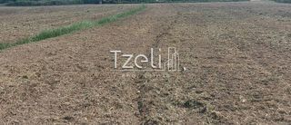 Οικόπεδο 7.650 τ.μ. για πώληση, Αχαΐα, Πάτρα-thumb-24