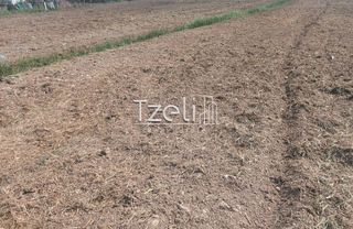 Οικόπεδο 7.650 τ.μ. για πώληση, Αχαΐα, Πάτρα-thumb-29
