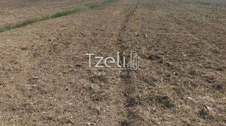 Οικόπεδο 7.650 τ.μ. για πώληση, Αχαΐα, Πάτρα-thumb-20