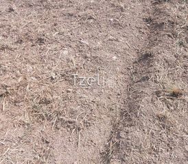 Οικόπεδο 7.650 τ.μ. για πώληση, Αχαΐα, Πάτρα-thumb-15