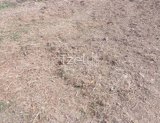 Οικόπεδο 7.650 τ.μ. για πώληση, Αχαΐα, Πάτρα-thumb-27