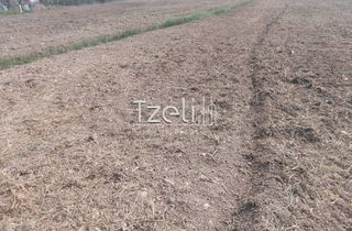 Οικόπεδο 7.650 τ.μ. για πώληση, Αχαΐα, Πάτρα-thumb-23
