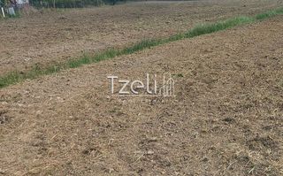 Οικόπεδο 7.650 τ.μ. για πώληση, Αχαΐα, Πάτρα-thumb-12