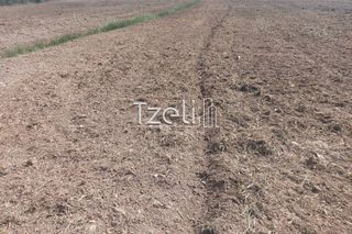 Οικόπεδο 7.650 τ.μ. για πώληση, Αχαΐα, Πάτρα-thumb-26