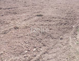 Οικόπεδο 7.650 τ.μ. για πώληση, Αχαΐα, Πάτρα-thumb-3