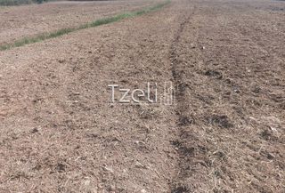 Οικόπεδο 7.650 τ.μ. για πώληση, Αχαΐα, Πάτρα-thumb-17
