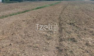 Οικόπεδο 7.650 τ.μ. για πώληση, Αχαΐα, Πάτρα-thumb-22