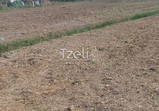 Οικόπεδο 7.650 τ.μ. για πώληση, Αχαΐα, Πάτρα-thumb-13