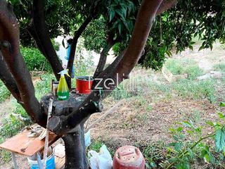 Οικόπεδο 421 τ.μ. για πώληση, Αχαΐα, Παραλία-thumb-3