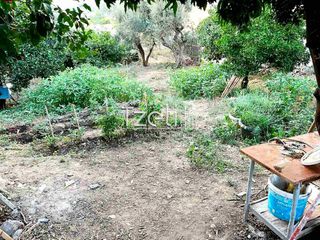 Οικόπεδο 421 τ.μ. για πώληση, Αχαΐα, Παραλία-thumb-25