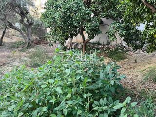 Οικόπεδο 421 τ.μ. για πώληση, Αχαΐα, Παραλία-thumb-14